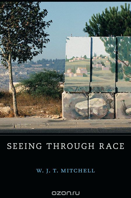 Скачать книгу "Seeing Through Race"