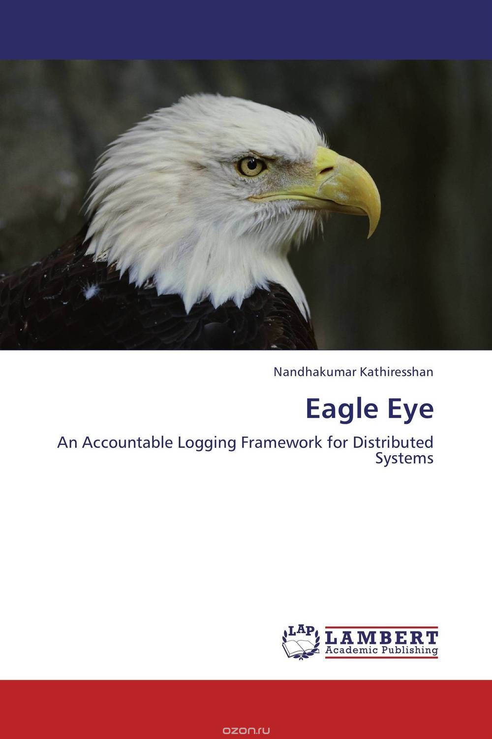 Скачать книгу "Eagle Eye"