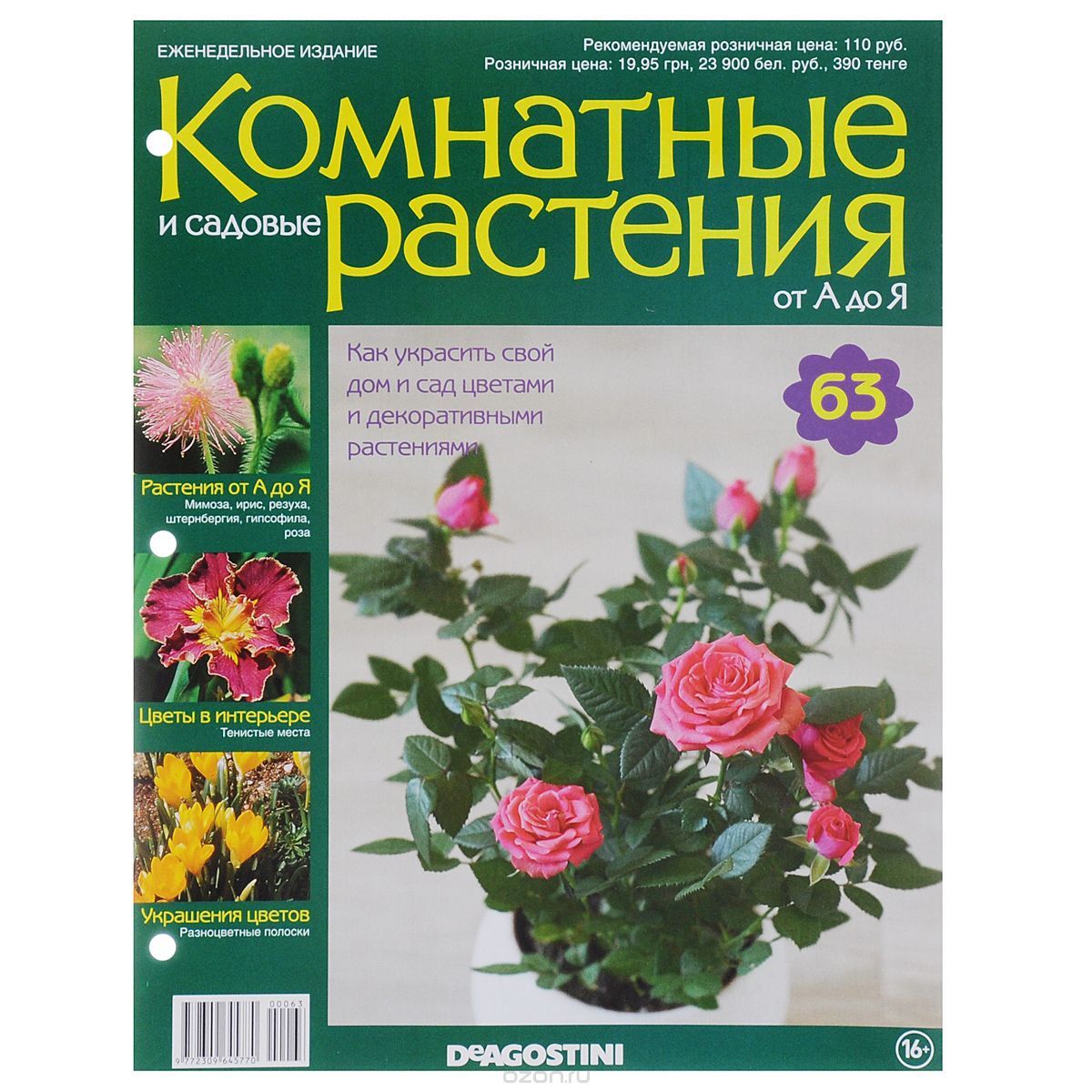 Журнал "Комнатные и садовые растения. От А до Я" №63