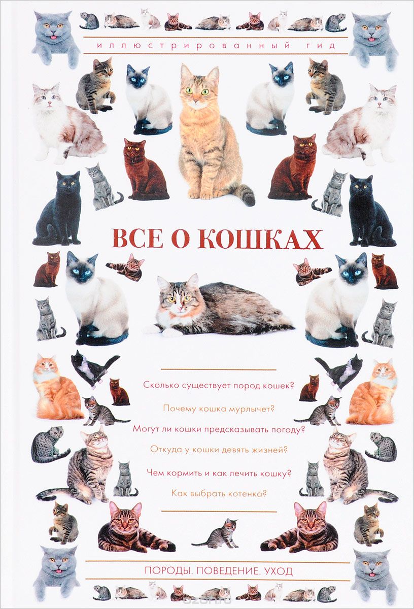 Скачать книгу "Все о кошках, Николай Непомнящий"