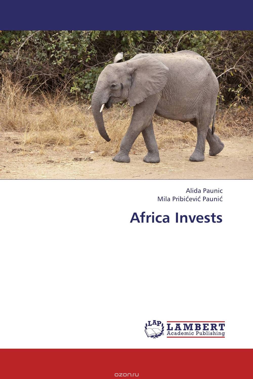 Скачать книгу "Africa Invests"