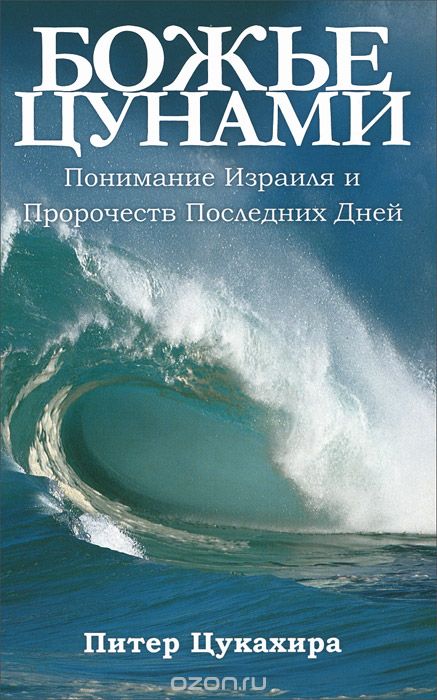 Скачать книгу "Божье цунами, Питер Цукахира"