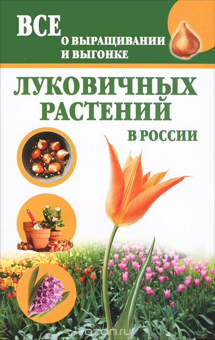 Скачать книгу "Все о выращивании и выгонке луковичных растений в России, Татьяна Литвинова"