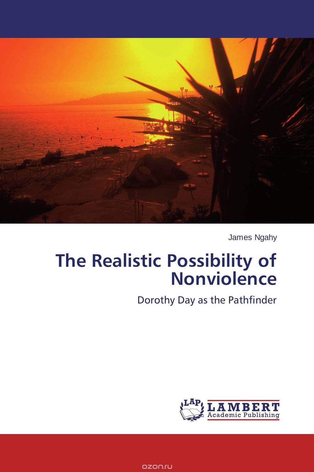 The Realistic Possibility of Nonviolence