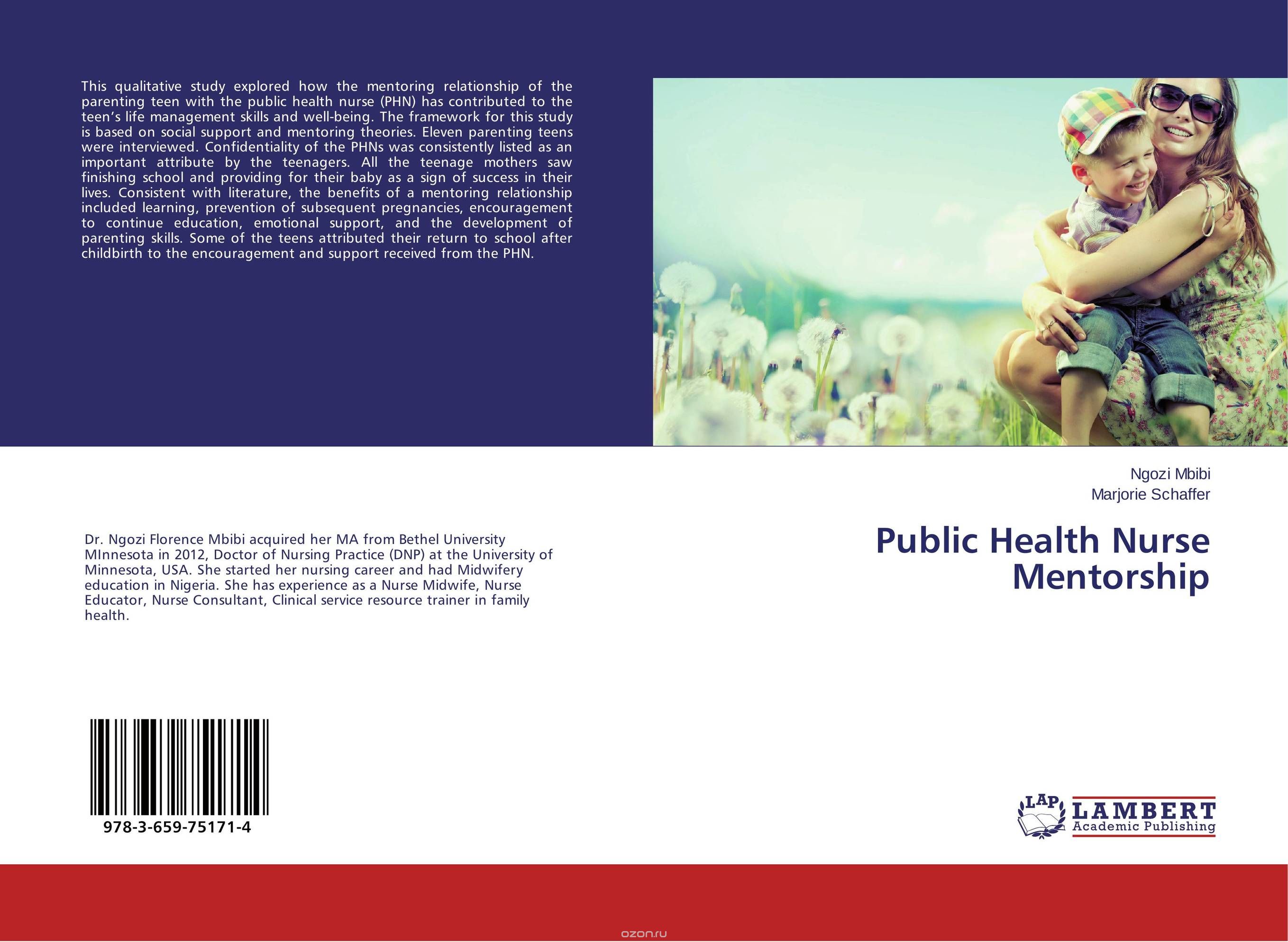 Public Health Nurse Mentorship