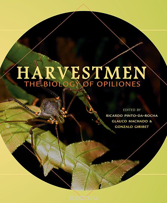 Harvestmen – The Biology of Opiliones