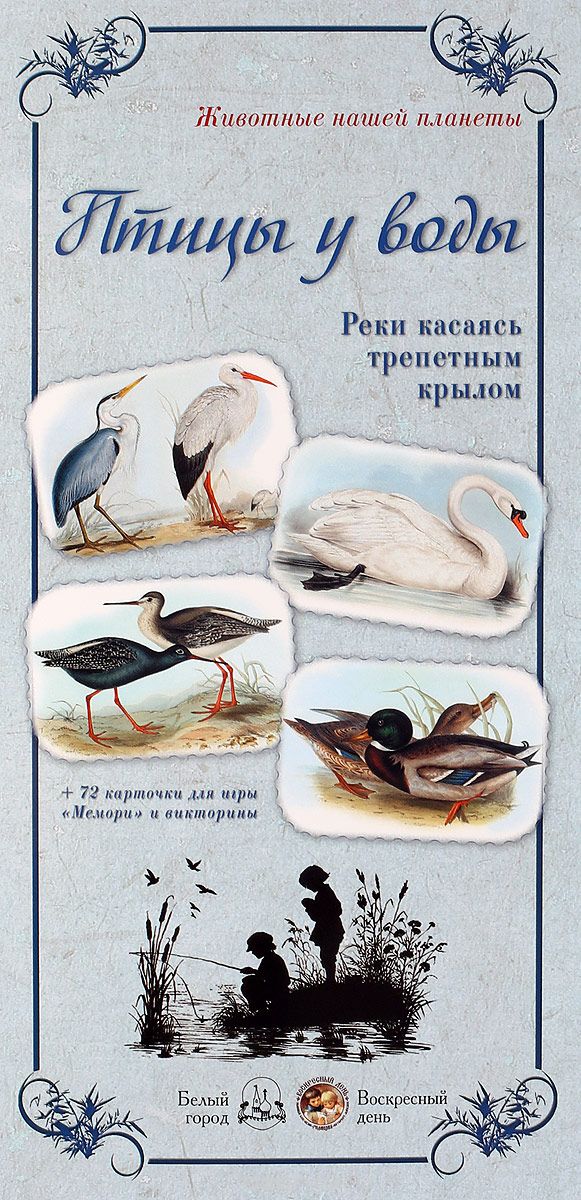 Птицы у воды. Реки касаясь трепетным крылом (набор из 28 карточек), Л. Жукова