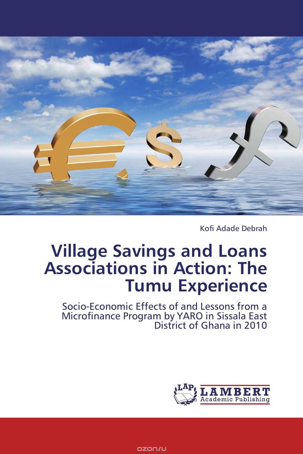 Скачать книгу "Village Savings and Loans Associations in Action:  The Tumu Experience"