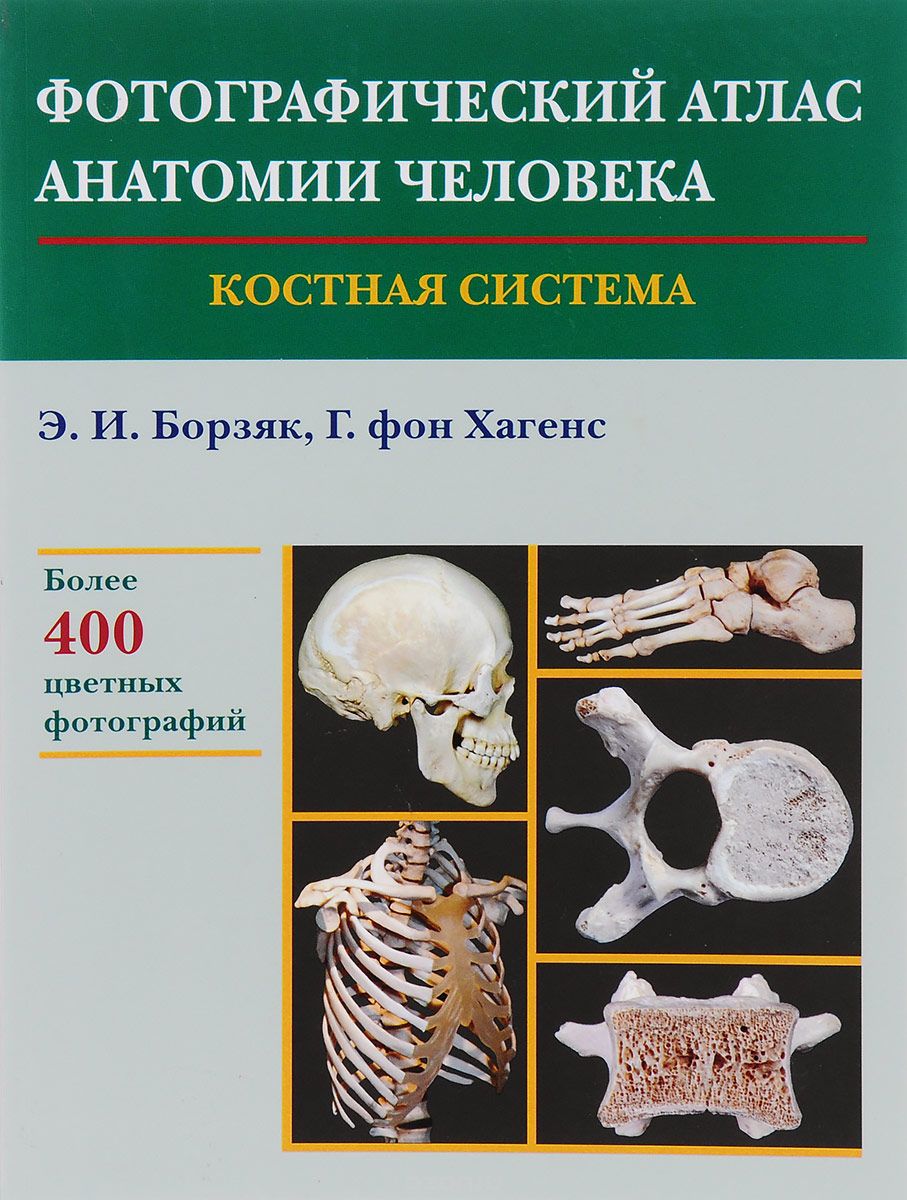 Фотографический атлас анатомии человека. Костная система, Э. И. Борзяк, Г. фон Хагенс