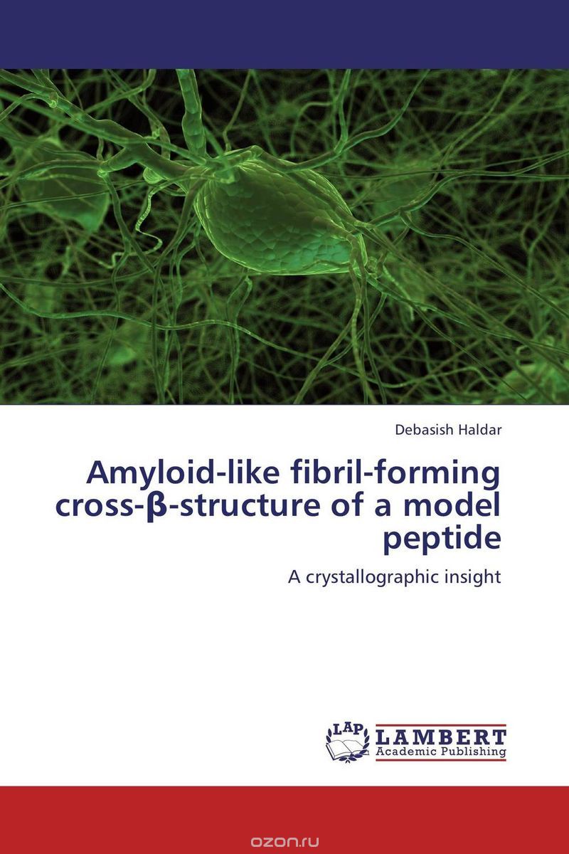 Amyloid-like fibril-forming cross-?-structure of a model peptide