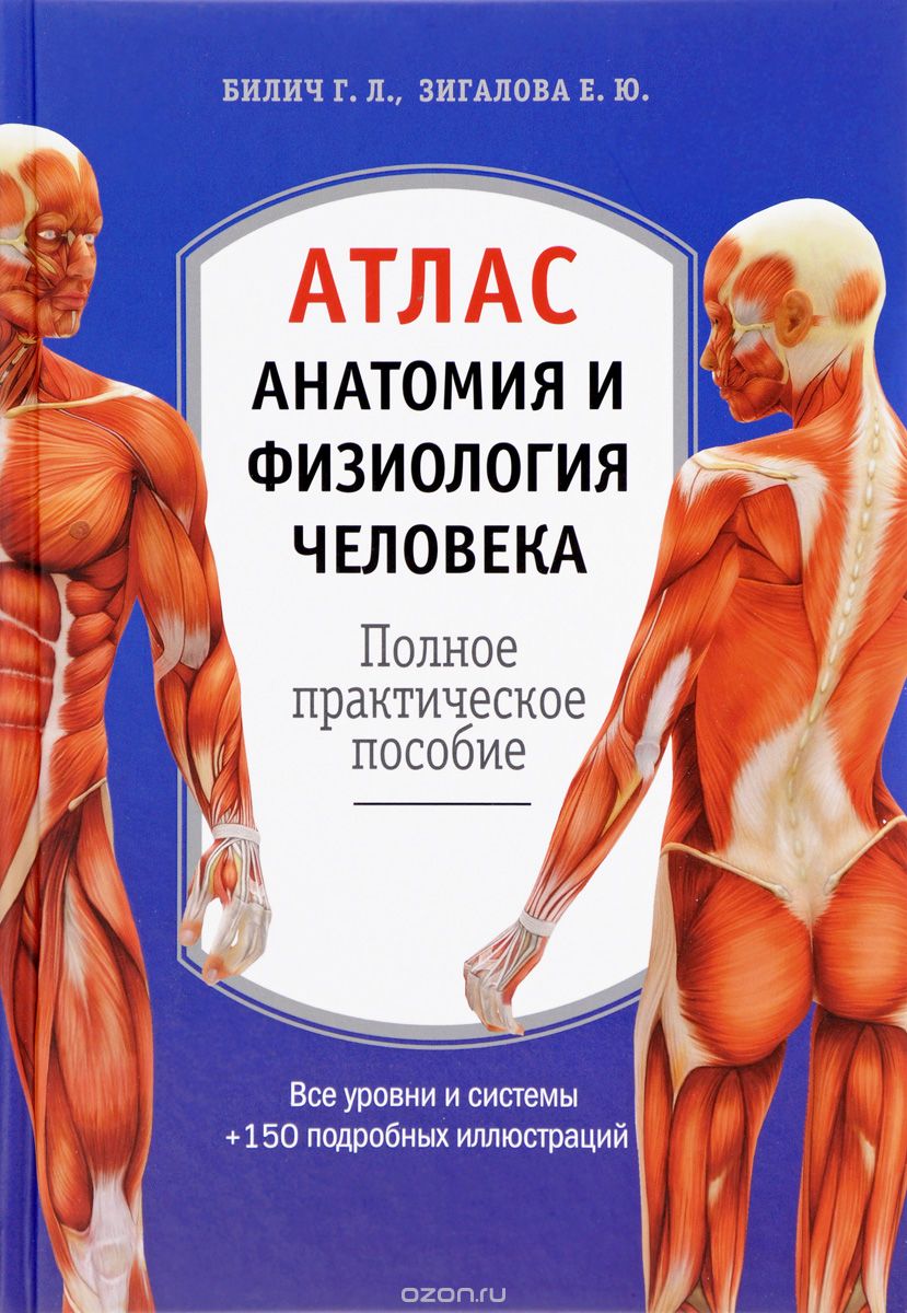 Анатомия и физиология человека. Атлас, Г. Л. Билич, Е. Ю. Зигалова