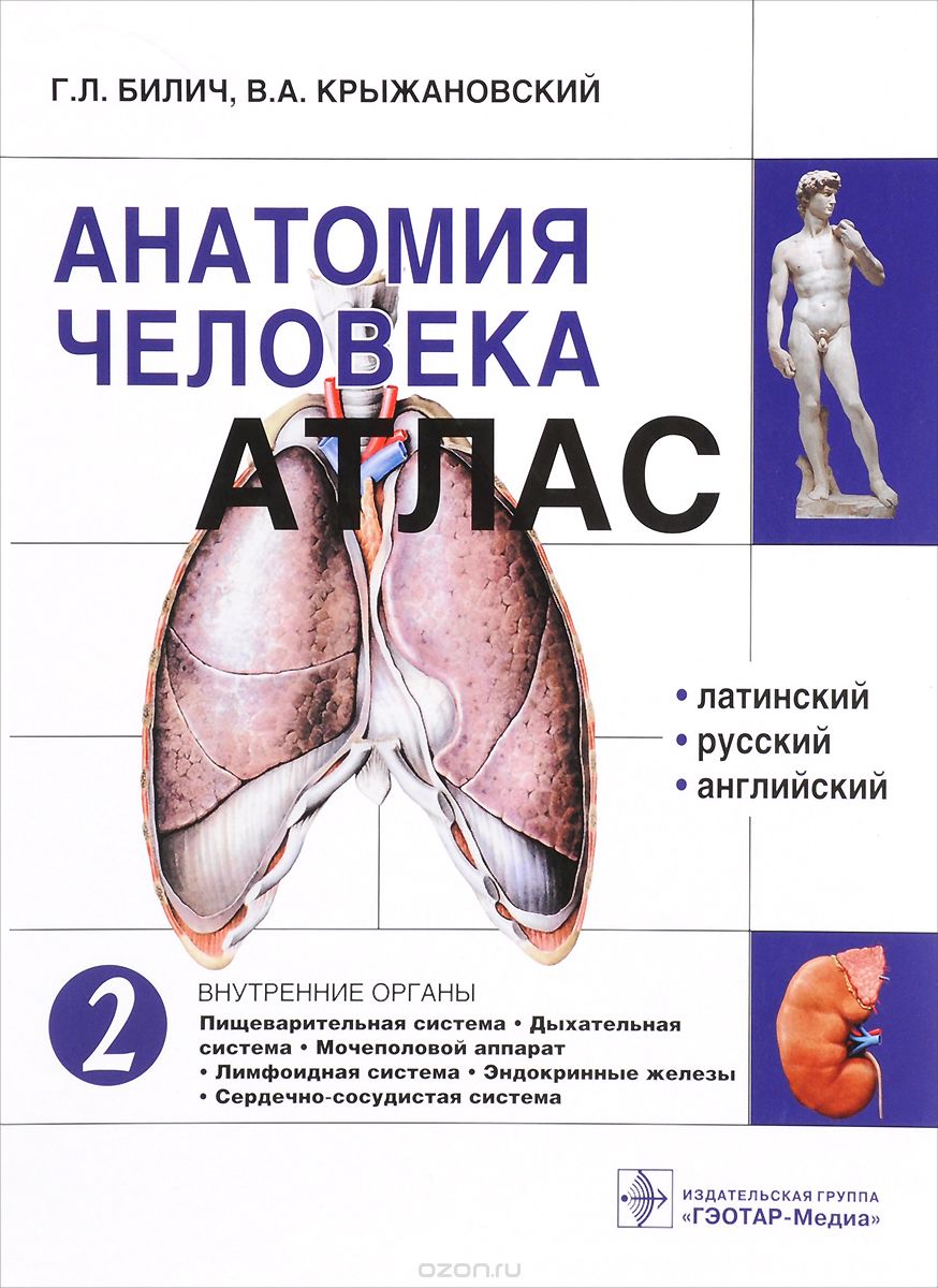 Скачать книгу "Анатомия человека. Атлас. В 3 томах. Том 2. Внутренние органы, Г. Л. Билич, В. А. Крыжановский"