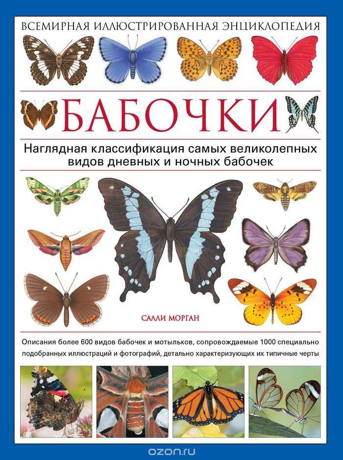 Бабочки. Всемирная иллюстрированная энциклопедия, Салли Морган