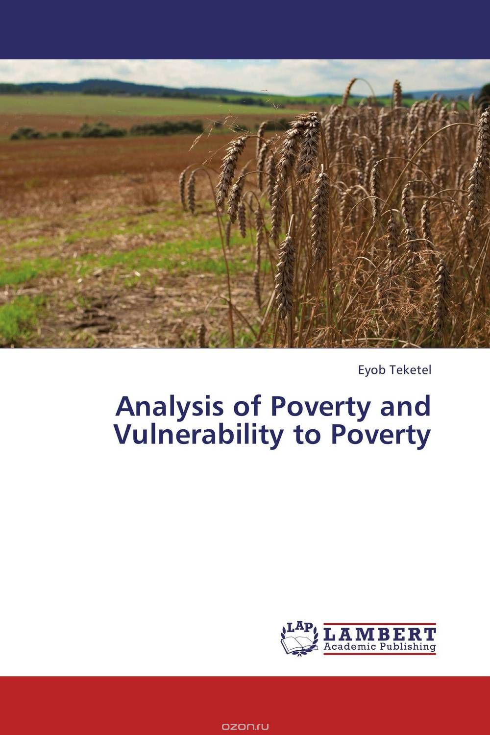 Скачать книгу "Analysis of Poverty and Vulnerability to Poverty"