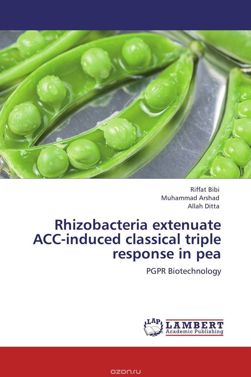 Rhizobacteria extenuate ACC-induced classical triple response in pea